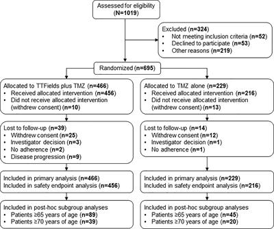 Efficacy and Safety of Tumor Treating Fields (TTFields) in Elderly Patients with Newly Diagnosed Glioblastoma: Subgroup Analysis of the Phase 3 EF-14 Clinical Trial